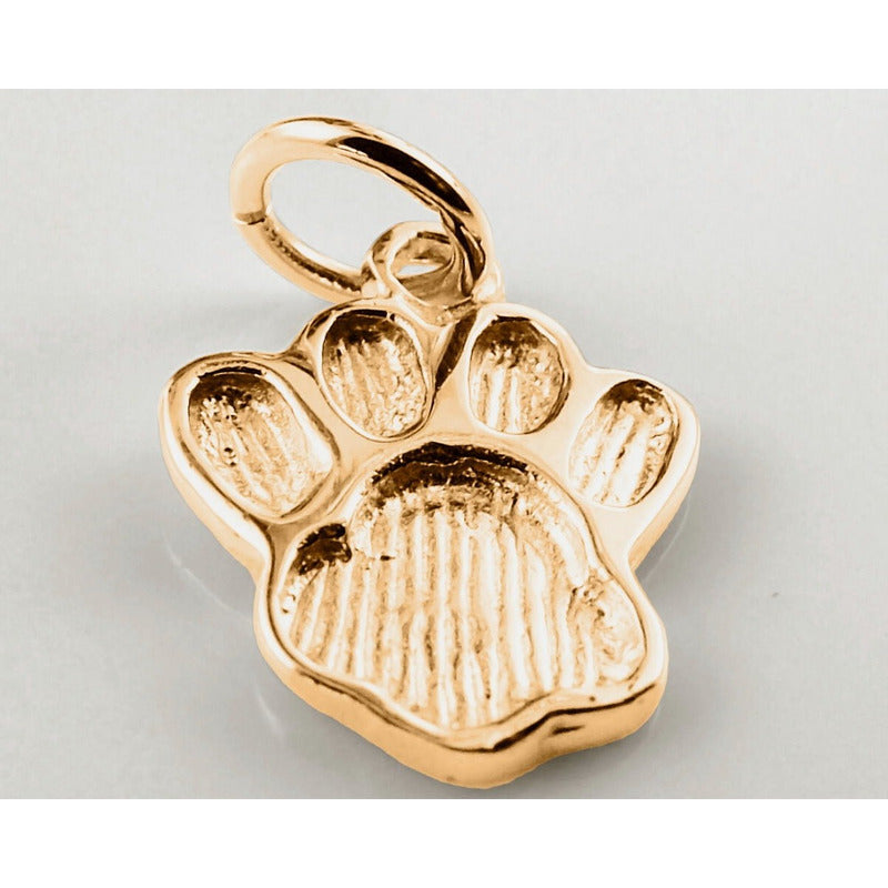 Pingente Patinha De Cachorro Em Prata 925 Dourada 18k